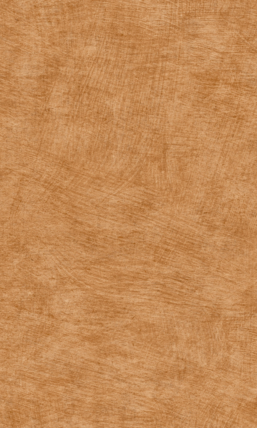 Herbarium Apricot Orange Pampas Plain HE27209