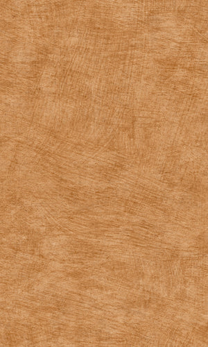 Herbarium Apricot Orange Pampas Plain HE27209