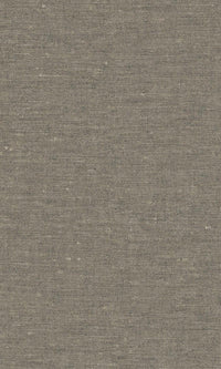 Inspire Brown Plain Textured 219643