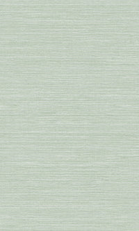 Tender Green Coastal Hemp Textured Vinyl Commercial Wallpaper CPW1146