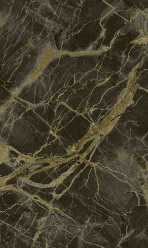 Arabesque Marble Charcoal Portoro 36280