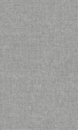 Asperia Cool Grey Patinated Plain PP1212