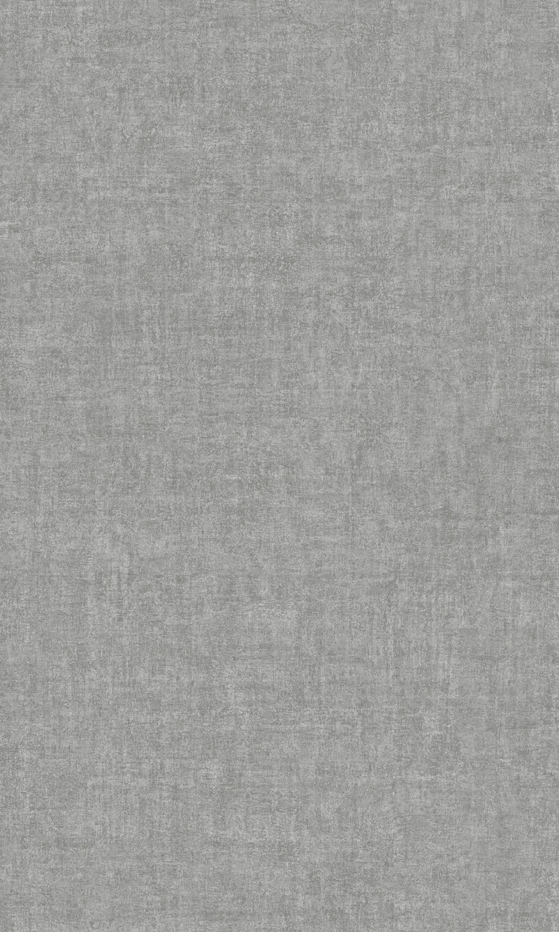 Asperia Cool Grey Patinated Plain PP1212