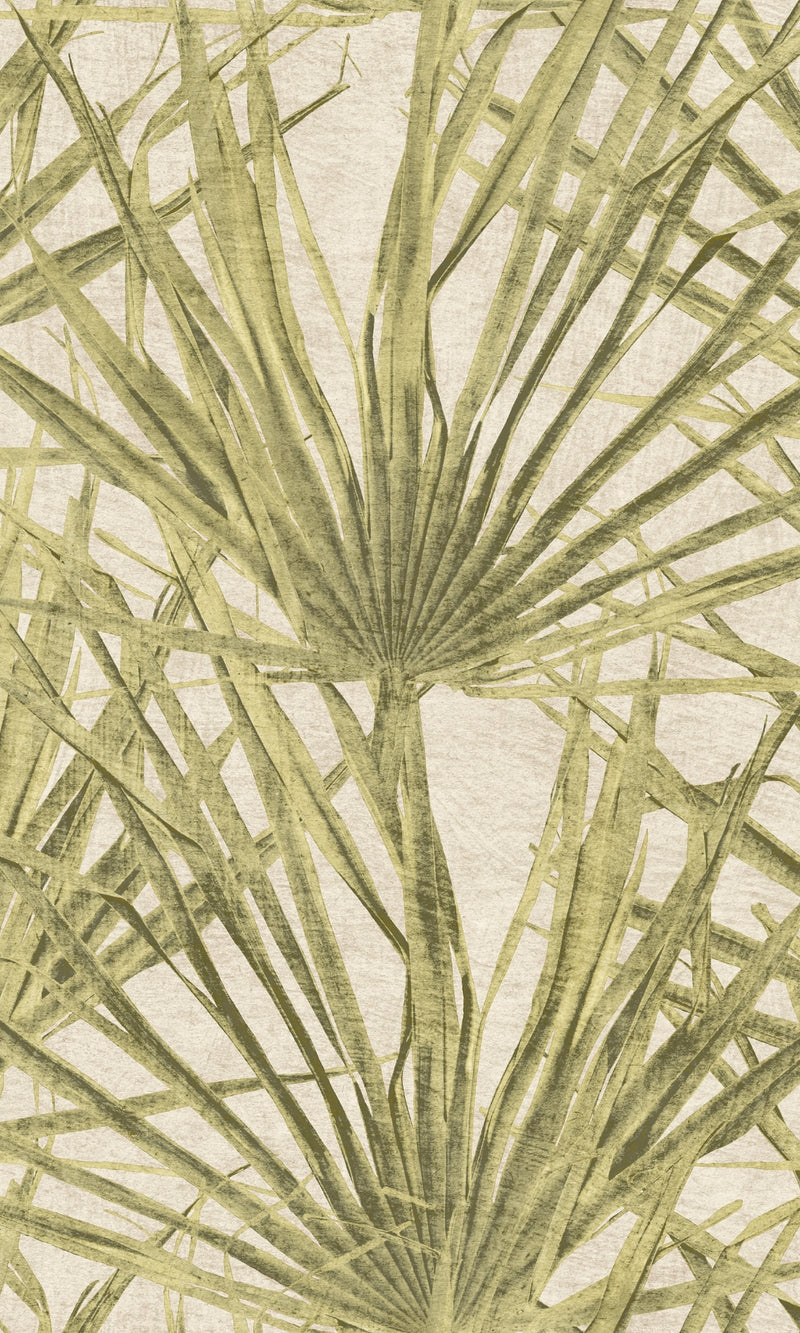 Herbarium Dusty Yellow Palm HE27261