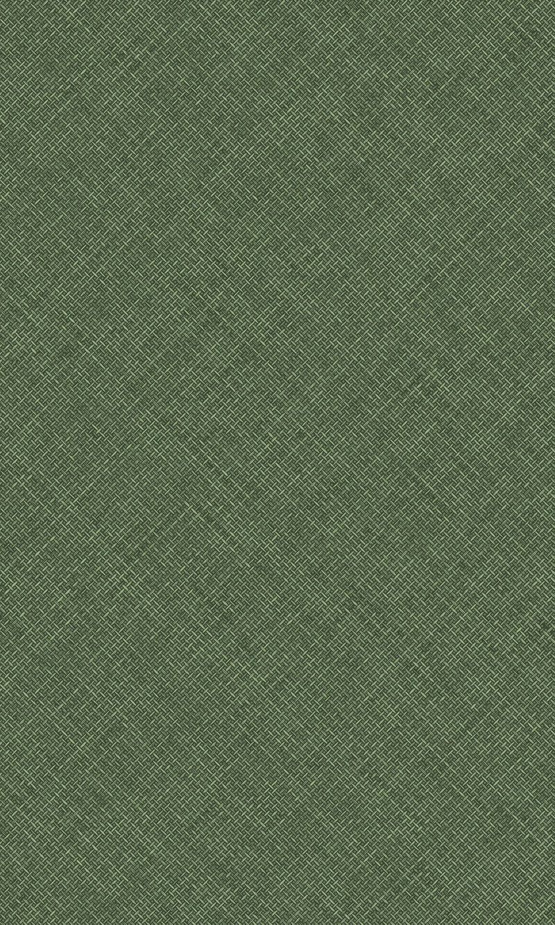Arcadia Green Happy Texture Plain A70802
