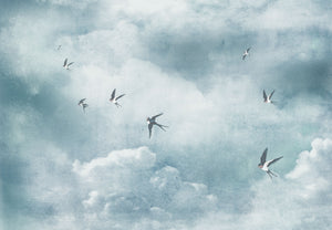 Thuraya Nebula Migratory Swallows Blue MA1587
