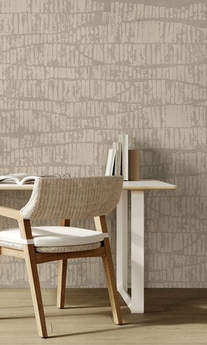 Thuraya Nebula Gentle Brush Stripes Taupe MA1713