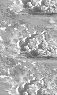 Thuraya Nebula Celestial Clouds Gray MA1729