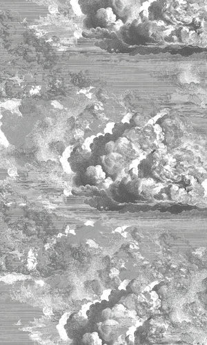Thuraya Nebula Celestial Clouds Gray MA1729