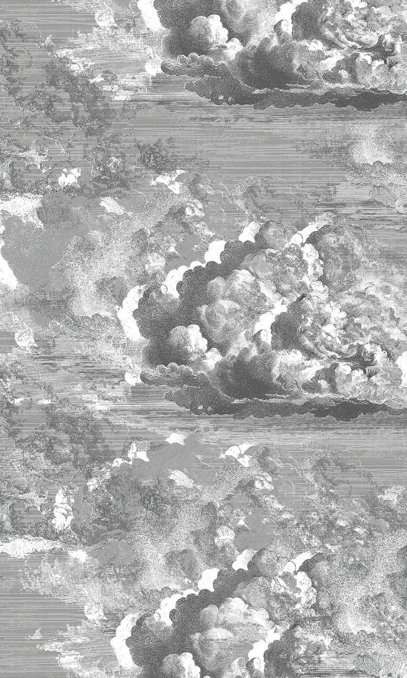 Thuraya Nebula Celestial Clouds Gray MA1729