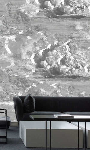 Thuraya Nebula Celestial Clouds Gray MA1729