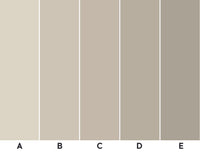 Thuraya Nebula Solid Colors Brown MB1746 - Sample