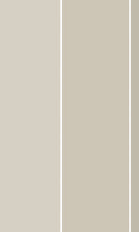 Thuraya Nebula Solid Colors Brown MB1746 - Sample