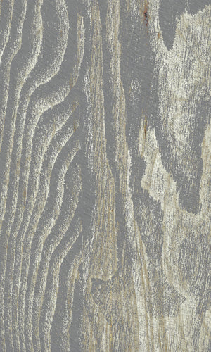 Thuraya Nebula The Beauty of Wood Gray MS1153-TN - Sample