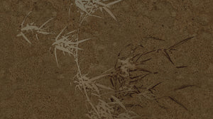 Muance Harmony Hues Dark Gold MU15005