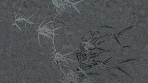 Muance Harmony Hues Charcoal MU15006 Sample