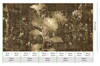 Muance Mystic Umber Beige MU15028 Sample