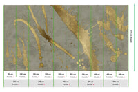 Muance Splash Effect Metallic Grey Gold MU15076 Sample