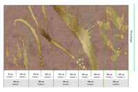 Muance Splash Effect Ash Pink Gold MU15078 Sample