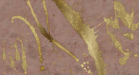 Muance Splash Effect Ash Pink Gold MU15078 Sample