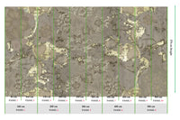 Muance Symphony Khaki Gold MU15079 Sample