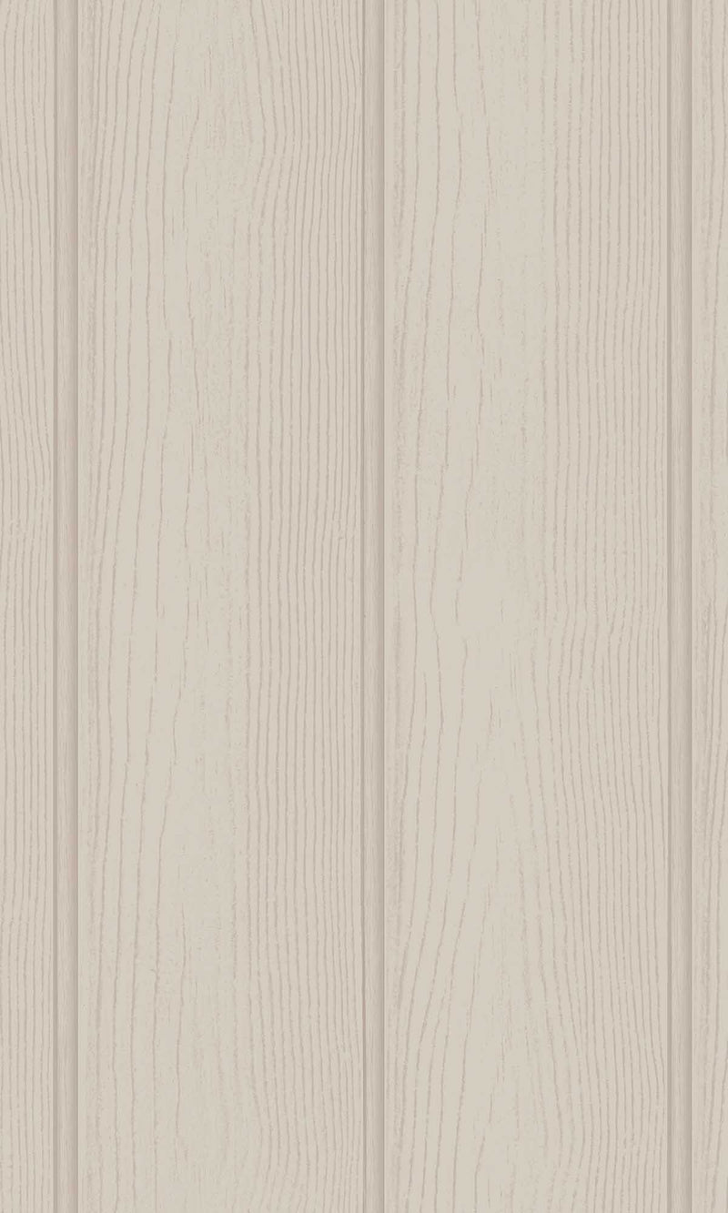 Adventure Awaits Tongue & Groove Beige 13991