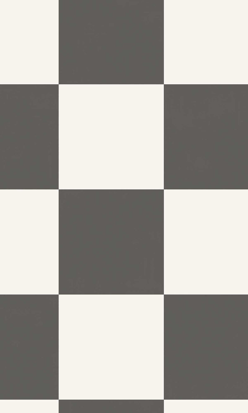 Adventure Awaits Check This Out! Charcoal 14040