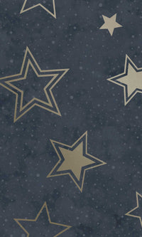 Adventure Awaits Stardust  Blue/Gold 14061