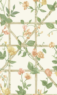 Imaginarium 3 Trailing Floral Trellis Orange Cream 14200