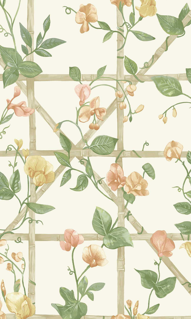 Imaginarium 3 Trailing Floral Trellis Orange Cream 14200