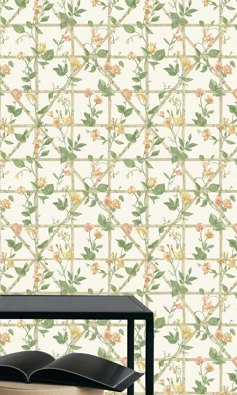 Imaginarium 3 Trailing Floral Trellis Orange Cream 14200