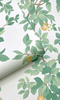 Imaginarium 3 Orange Tree Cream Green 14240