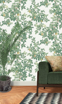 Imaginarium 3 Orange Tree Cream Green 14240