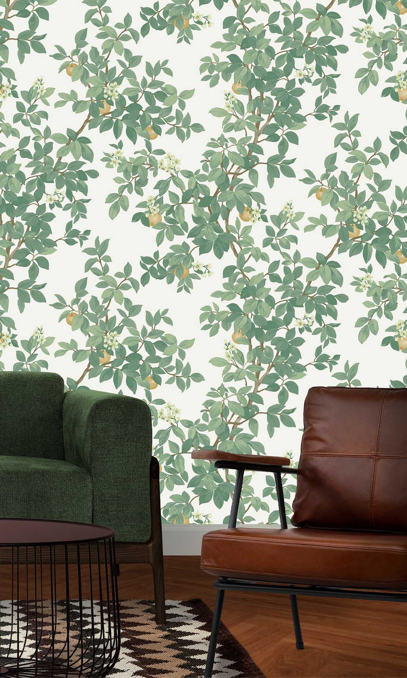 Imaginarium 3 Orange Tree Cream Green 14240