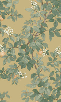 Imaginarium 3 Orange Tree Ochre 14241