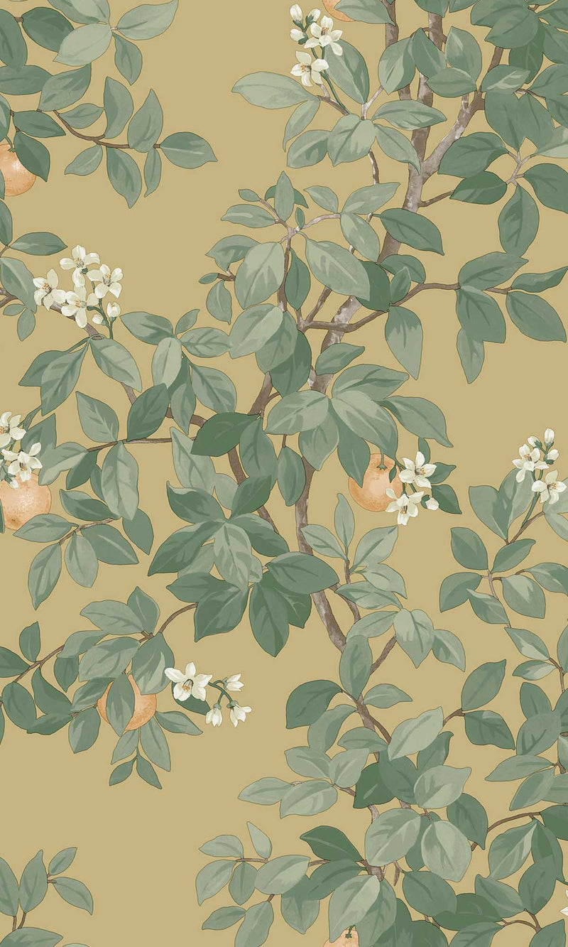 Imaginarium 3 Orange Tree Ochre 14241