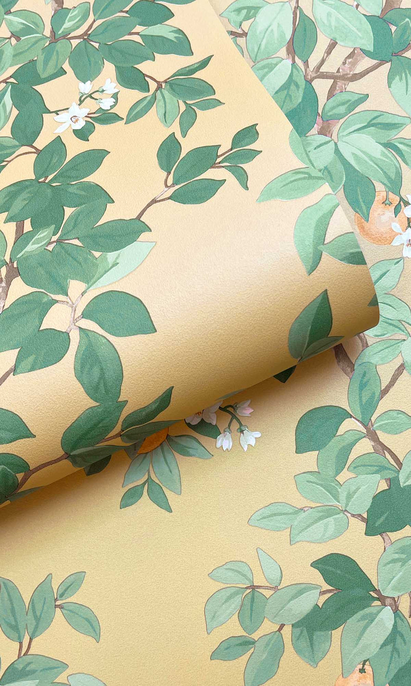 Imaginarium 3 Orange Tree Ochre 14241