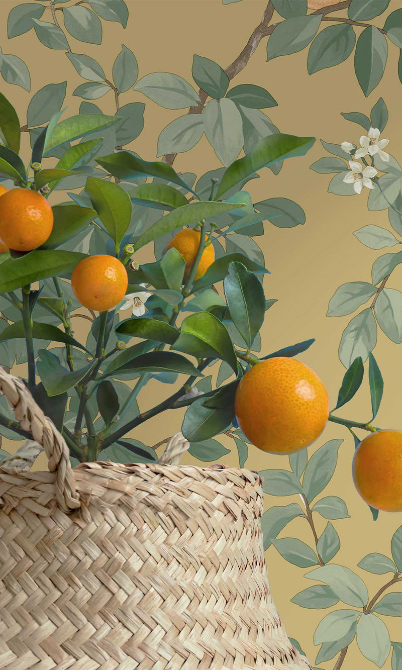 Imaginarium 3 Orange Tree Ochre 14241
