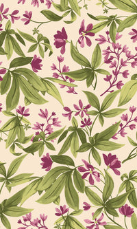 Inia Morgane Rose Fuchsia A80402