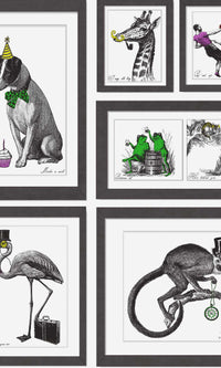 Imaginarium 3 Mad Dogs Multi Multi 97921