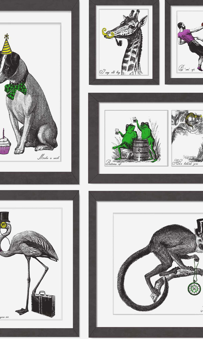 Imaginarium 3 Mad Dogs Multi Multi 97921