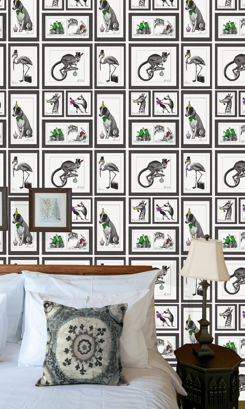 Imaginarium 3 Mad Dogs Multi Multi 97921