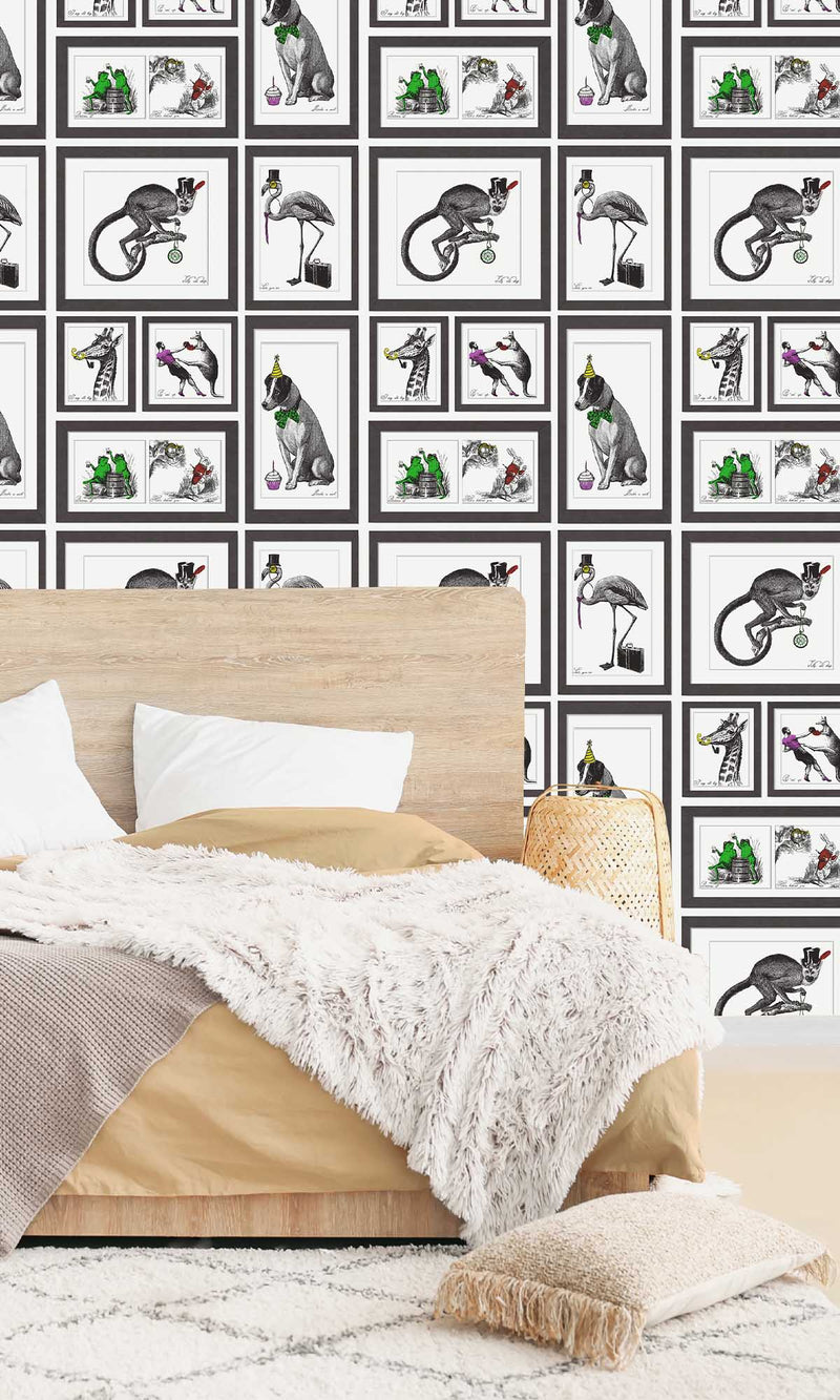 Imaginarium 3 Mad Dogs Multi Multi 97921