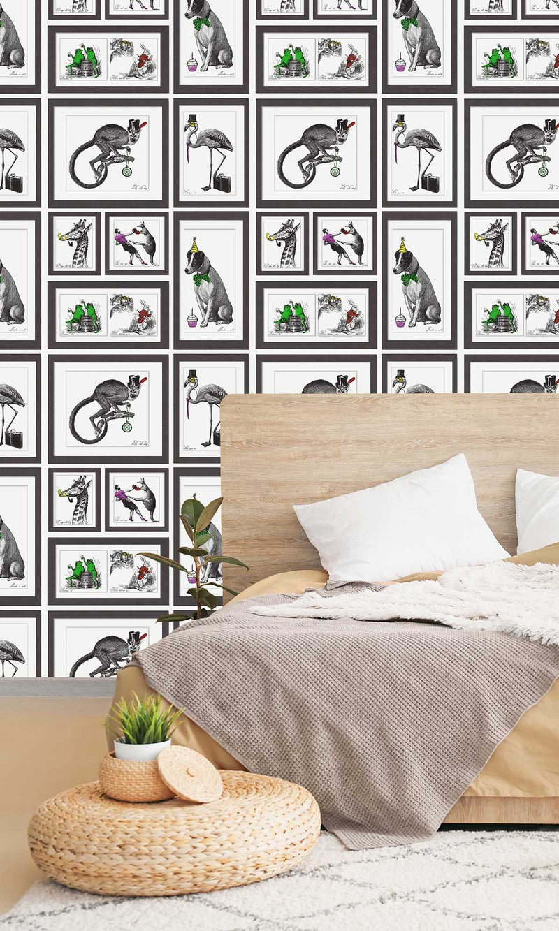 Imaginarium 3 Mad Dogs Multi Multi 97921