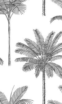 Origin Paradise Black and White Palm Trees 139162