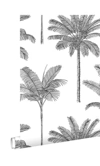 Origin Paradise Black and White Palm Trees 139162