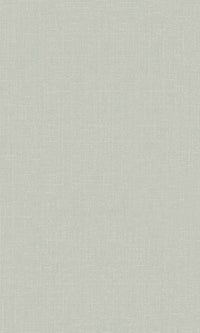 Origin Light Gray Blush Linen Texture Plain 148741