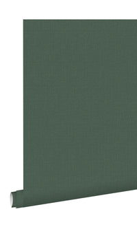 Origin Grayish Green Blush Linen Texture Plain 148748