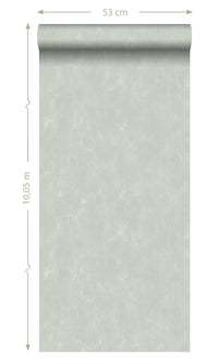 Origin Blush Celadon Green Plain With Painterly Effect 148721