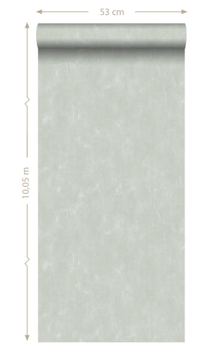 Origin Blush Celadon Green Plain With Painterly Effect 148721